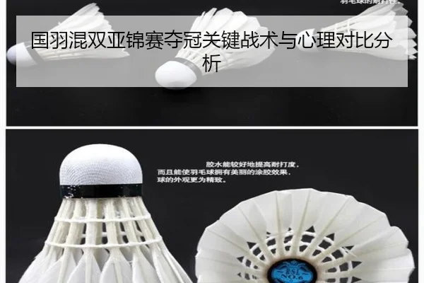 国羽混双亚锦赛夺冠关键战术与心理对比分析（lol）